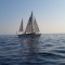 Replica trimaran for the film about Donald Crowhurst The Mercy